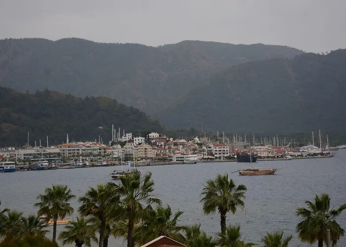 Sea Center فندق
